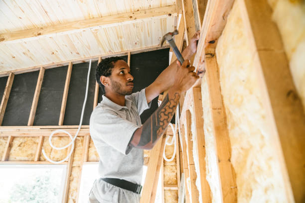 Best Insulation Removal  in Monroeville, IN